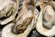 メス牡蠣(加熱用)『今日は生でいいよ……』