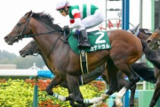 【京成杯AH】波乱！7番人気カテドラルが差し切って重賞初制覇