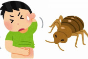 【役に立つ！】トコジラミがついに日本に襲来…「ダニやシラミではありません」アース製薬が撃退法を徹底解説