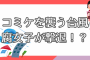 コミケ直撃台風を腐女子が撃退！？過去の伝説エピソードに「台風にも穴がある」