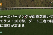 フォーエバーヤングが函館芝追い切りでラスト10.8秒、ダート王者の脚力に期待が高まる