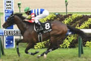 今年の3歳馬勝ち上がり多数で意外に強い説