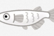 メダカ飼育ガチ勢は冬場に餌を全くあげない ← これって実際どうなの？