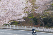 バイク乗りに嫉妬してたけど、いざ自分がバイク乗りになったら嫉妬しなくなった