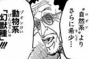 「ONE PIECE」“覇気”とか言う後付け無ければ神漫画になれてた…