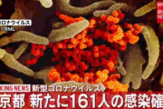 コロナウイルスはサンアタックで撃滅出来ると判明！日輪の輝きを見よ！　太陽と湿度で急速に不活性化
