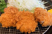 有吉「ヒレ食う奴はとんかつ好きじゃない」← どう思う？