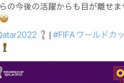 【画像】普通の日本人さん、なぜかFIFA公式写真の並びに大発狂してしまう…