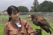 【乃木坂46】???　大園桃子が洗いたい動物とは⁉