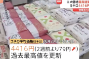 【悲報】コメ平均価格、5キロ4416円で過去最高値を更新してしまう。終わりだよこの国