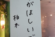 【悲報】もうすぐ31歳の柏木由紀さん、卒業のタイミングを完全に見失う…