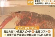 東京農業大学｢アメリカザリガニ食べてぇ～ん 美味しく食べて食糧難回避してぇ～ん｣