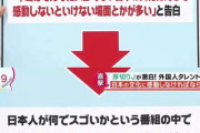 【悲報】厚切りジェイソン「アメリカに四季があると言うと全部カットされた」