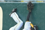 【阪神】島田　雨中で執念のファインプレー　フェンス激突もボール離さず　虎党拍手喝采