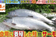 【悲報】えんがわ、魚じゃなかった