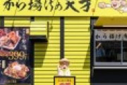 唐揚げの天才「助けて！唐揚げ屋が乱立し過ぎて採算が取れず120店舗→60店舗に減少しちゃったの。なんでお前らウチの唐揚げ食べないの！？」