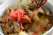 【すき家のCM観て思ったんだけど…】いつから牛丼はスプーンで食うものになったんだ？www