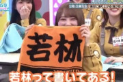 【日向坂46】""としちゃん専用""本日のタイムテーブルｗｗｗｗｗｗｗｗ