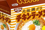 ワイ「チキンラーメンは美味しいなぁ」 敵「ククク、美味しくなんてないさ」