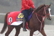 シンエンペラーが電撃引退。アロースタッドで種牡馬入りへ…