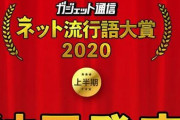 『ネット流行語大賞2020上半期』が決定！　1位は圧倒的強さで「あのゲームキャラの歌」ｗｗｗｗｗ