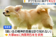 【山梨】チワワを川に投げて死なせる　男が盗んだ車から投げ捨て…飼い主「殺人と同じ、到底許せない」