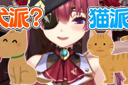 Vtuber 【宝鐘マリン】「ペットはお別れ悲しいし命の責任考えるとペット飼うかとは思えない」←一味になります。
