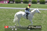 【函館土曜5R新馬戦】怪物マルガ出陣