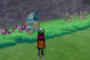 【画像】ポケモンさん、とんでもない草むらを出してしまうｗｗｗｗ