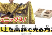 波田陽区の使用済み下着を出品したオークション