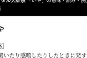 【衝撃】否定から入る人『いや、』← これ方言だった…