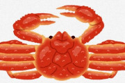 【朗報】ベーリング海の蟹漁師「カニだ！カニだ！」「揚げろ！揚げろ！」←これだけで月収400万円