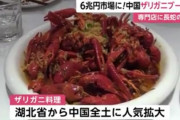 中国人「ザリガニ美味すぎ」 空前のザリガニブームで市場規模は6兆円