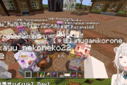 【ホロライブ】これぞ箱ゲーって感じで楽しいな【ホロ金策サバイバル2】