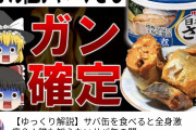 【確定！】サバ缶で癌になるってマジ？