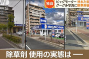 【画像あり】ビッグモーターの街路樹問題はパンドラの箱だった可能性、同業界で続々と見つかる
