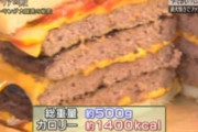 【画像】バーガーキングの食べ放題、ヤバすぎるｗｗｗｗｗｗｗ