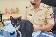 インド・ムンバイ警察で一番偉いのは猫。上級警部も椅子を譲る