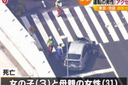 池袋暴走事故から今日で半年……遺族の男性「悲しみを乗り越えることはできない。思い出を大事にして生きていくしかない」