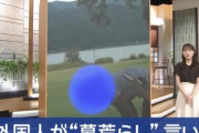 墓荒らしの外国人さん、動画炎上してもノーダメージだった