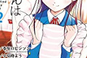 【画像】ニトリさん、『こういうのでいいんだよ枕』を発売してしまうｗｗｗｗｗｗｗｗｗ