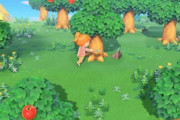 【あつまれどうぶつの森】針葉樹と果物がならない広葉樹は全部抜いてしまって問題ない？