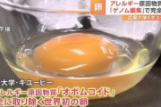 【朗報】キユーピーさん、アレルギーの原因を除去した卵の開発に成功！ついに卵アレルギーの無い時代へ・・・