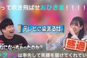 【ひなあい】テレビに魂を売ったキャプテン【盛ってるで編】