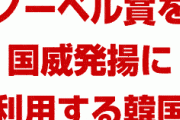 韓国「日本の輸出管理強化でノーベル科学賞の道が開けた」　　ちょっと何言ってるのか分からない…