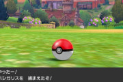 【ポケモン剣盾】捕獲率低すぎて図鑑埋め嫌になるんだけど…←ザシアン以外で捕獲に困ることってあるか・・・？