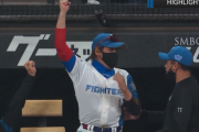北海道日本ハムファイターズの直近10試合ｗｗｗｗｗ