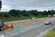 高速道路にソーセージが大量流出！アメリカでトラックの横転事故
