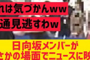 日向坂メンバーまさかの場面でニュース映るwwwwww【日向坂46】