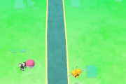 【ポケモンGO】田舎go民はこんな環境でプレイしてるんやで